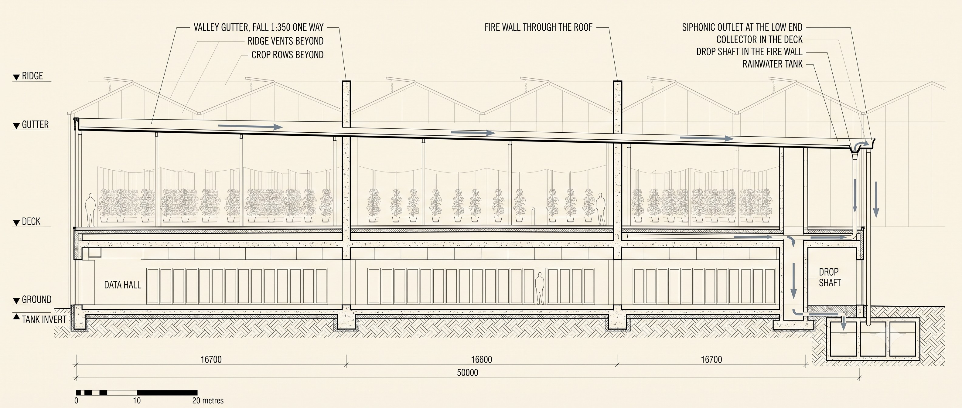 Long section through the building: greenhouse crop rows over the data hall, valley gutter falling one way to a siphonic outlet, drop shaft in the fire wall, and rainwater tanks below the tank invert
